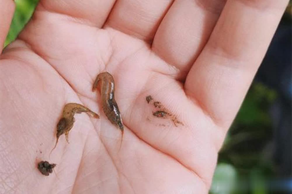 状态都非常, div 状态都非常, div