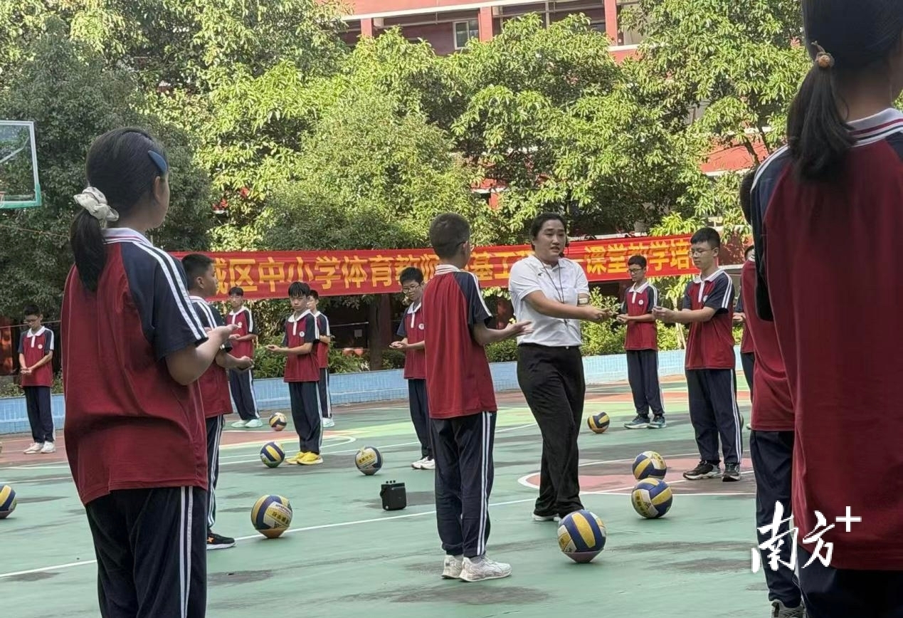 育教师指明, 场剖析教学, 来源 育教师指明, 场剖析教学, 来源